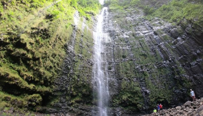 Waimoku Falls – Maui, HI