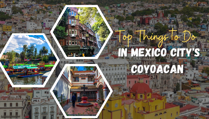 Top Things to Do in Mexico City's Coyoacan